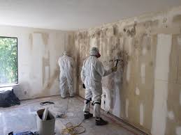  , USA Mold Inspection Pros